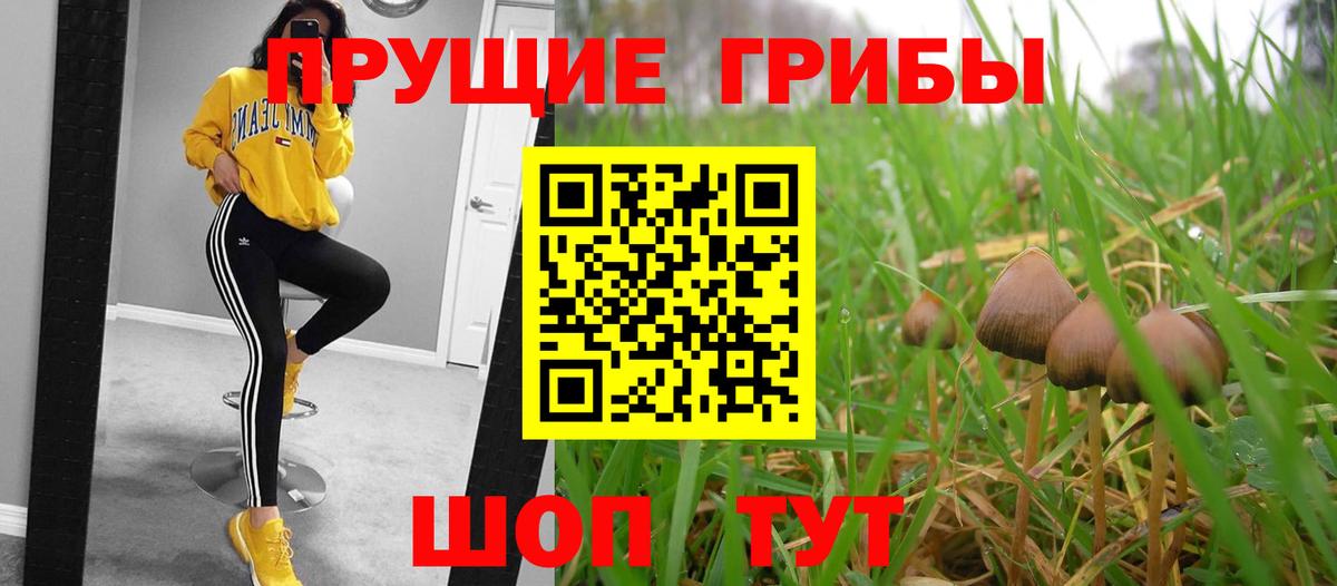 Псилоцибиновые грибы Magic Shrooms  Вход с VPN  Кызыл 